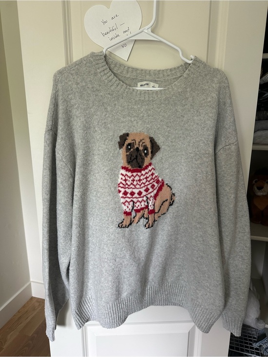Hollister Sweaters - Hollister Cozy Grey Sweater with Pug Motif